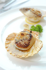 scallops