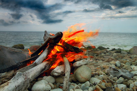 Fototapeta Sea fire. curtains on the coast.