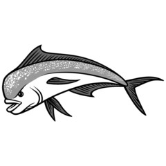 Dolphin Fish illustration