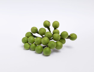 Pea Eggplant on white background