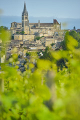 Obraz premium Vineyard and village of Saint-Emilion