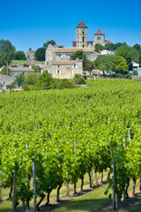 Fototapeta na wymiar Vineyard and village of Montagne Saint-Emilion