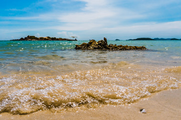 beach and sea wave