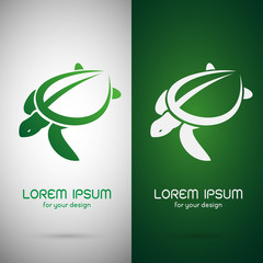 Obraz premium Vector of a turtle design on white background. Animals.