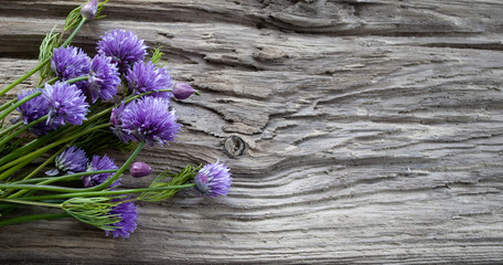 Schnittlauch Blüten auf altem Treibholz Brett / Holz