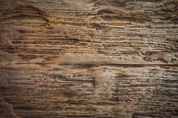 Fototapeta premium brown wood texture