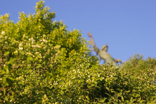 Salavat Yulaev statue in spring