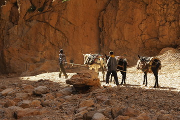 Der einsame Weg/2 Männer ziehen mit ihren Eseln durch die Todraschlucht