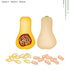Butternut Squash with Vitamin A, C and Minerals