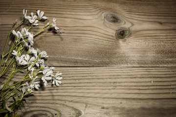 bouquet of white flowers on brown wooden background