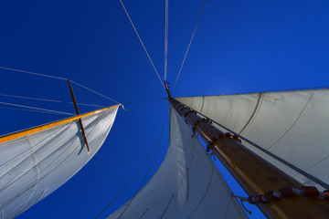 Fototapeta premium Sailing boat