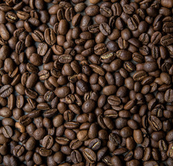 Frame of coffee beans on white background