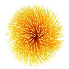 Spaghetti italian pasta