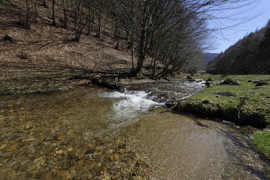 Clear water Shteaza near Rasinari