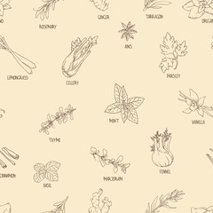 Seamless pattern with hand-drawn spices