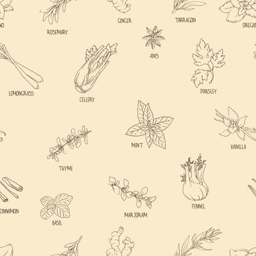 Seamless pattern with hand-drawn spices