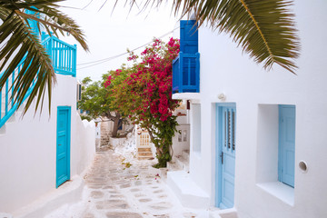 Streetview of Mykonos with palm leaves, Greece