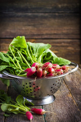 fresh organic radish on wooden  background