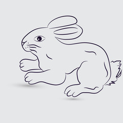 Rabbit