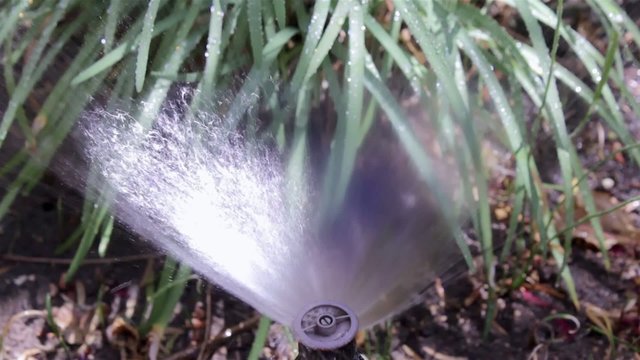 Garden automatic Irrigation system bubbler watering flowerbed