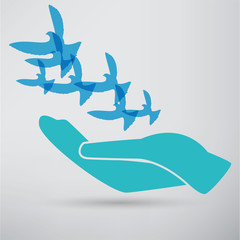 illustration of the dove in hand