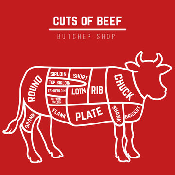 Beef Cuts Diagram