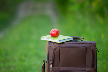 apple with a book suitcase
