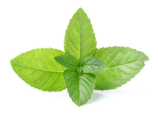 Mint leaves