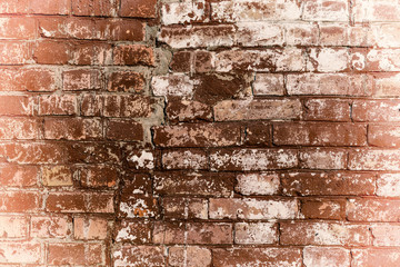 Texture. Brick. It can be used as a background