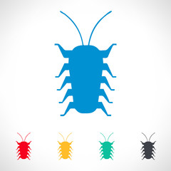 centipede