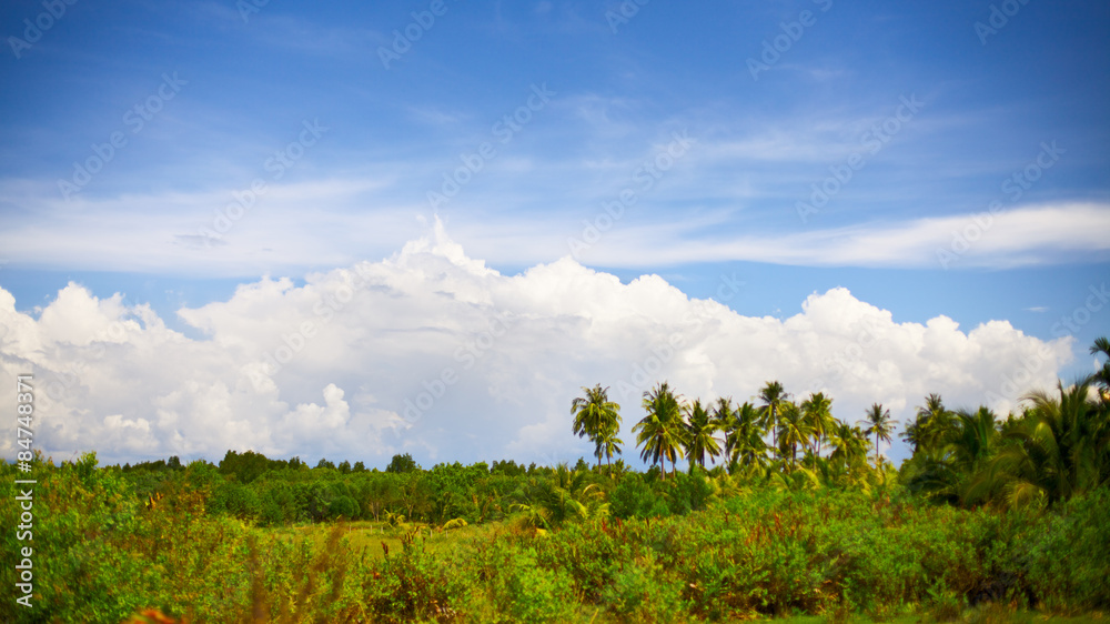 Wall mural thai landscape