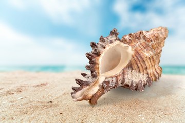 Sand, sea, isolated.