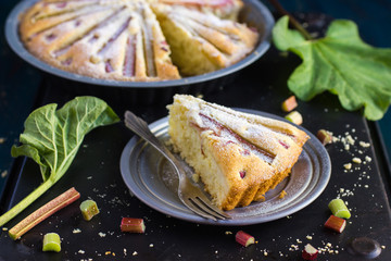 Piece of Rhubarb cake on dark background