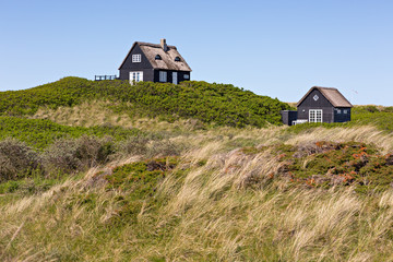 Ferienhaus mit Reetdach in den Dünen