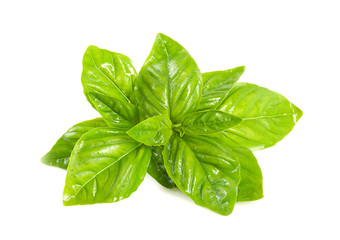 Sprig of basil.