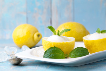 lemon sorbet ice cream with lemon slices dessert food - obrazy, fototapety, plakaty