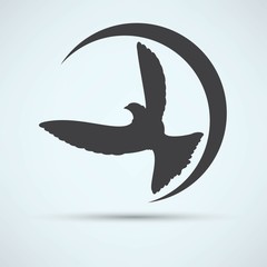 Dove of Peace illustration