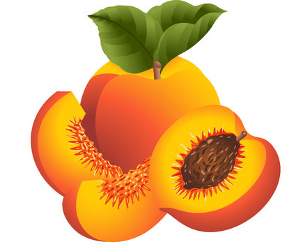 ripe peaches with green leaves, sliced clip art preview