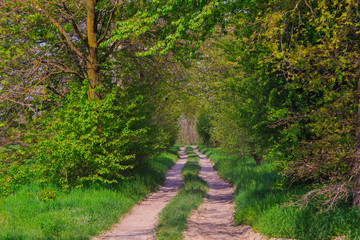 Countryside road