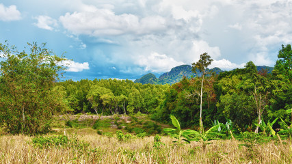 Fototapeta na wymiar Thai Landscape