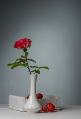 red rose in vase - 84754321