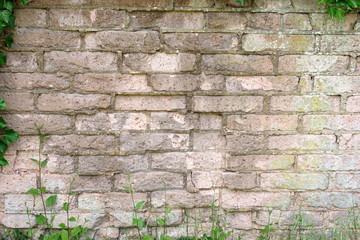 HIntergrund alte Mauer