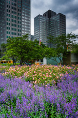 Gardens and buildings at Gateway Center Park in downtown Pittsbu