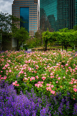 Gardens and buildings at Gateway Center Park in downtown Pittsbu