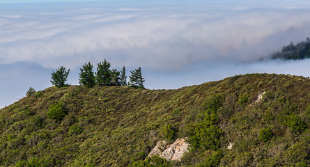 Fototapeta na wymiar Foggy San Francisco Bay Area