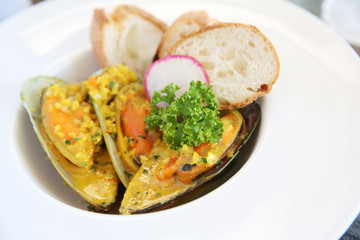 mussel with cream sauce