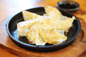 gyoza in wood background