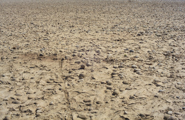 Ticino riverbed