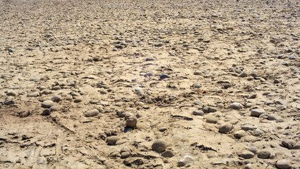 Ticino riverbed