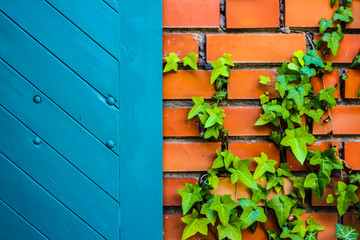 Blue door and brick wall